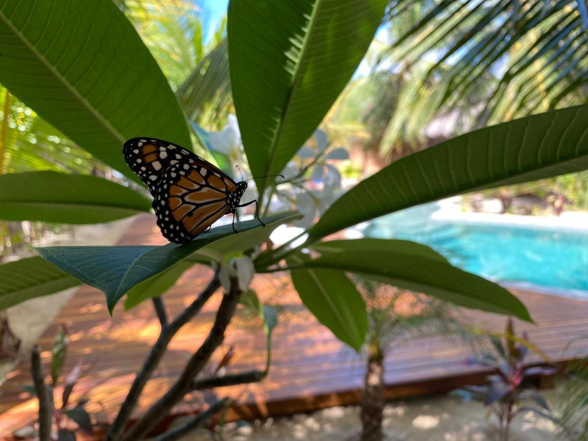 Pousada Villa Zen Barra Grande  Εξωτερικό φωτογραφία